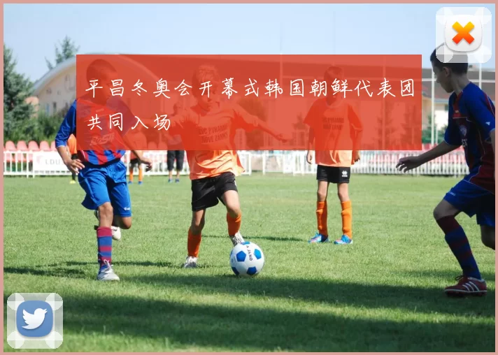 平昌冬奥会开幕式韩国朝鲜代表团共同入场
