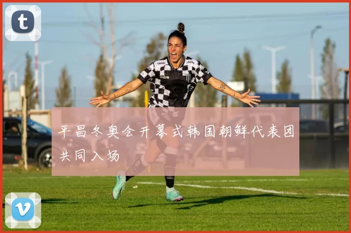 平昌冬奥会开幕式韩国朝鲜代表团共同入场